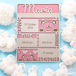 Personalised Baby Data Plaque